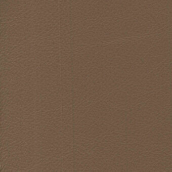 Brown leather texture sample with fine graining, matte finish, and subtle tonal variations; labeled “turri > leather cat. lh > 219p a”.